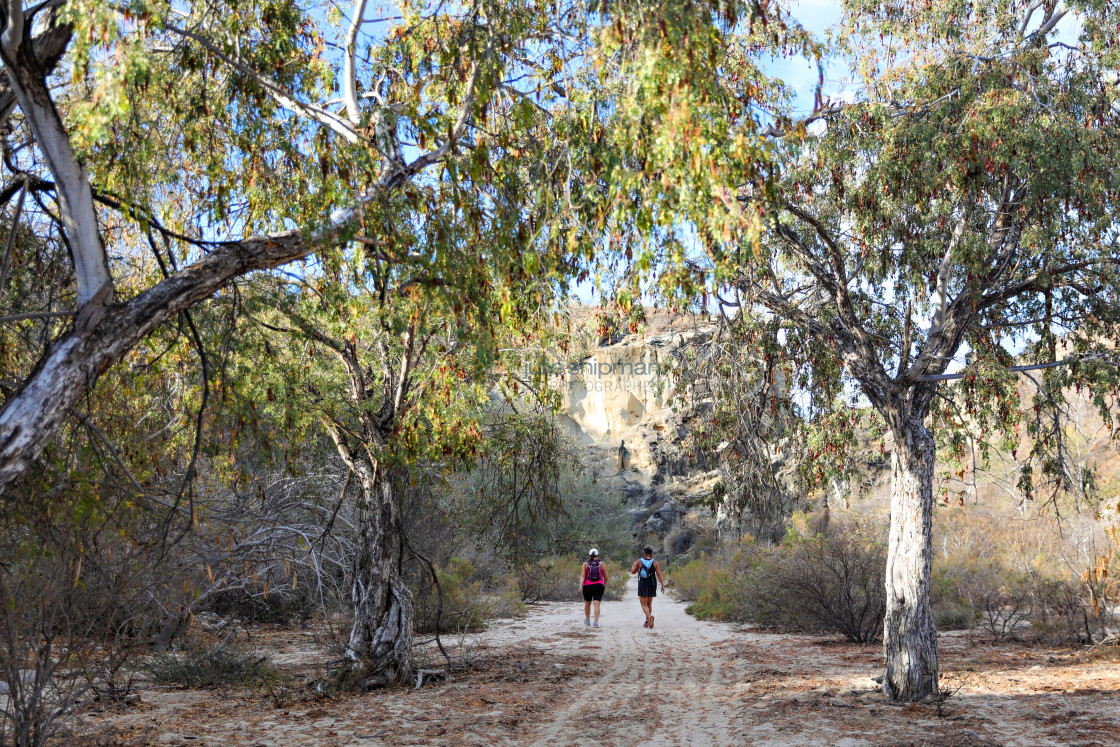 "Hiking Shady Rocks, Los Barriles" stock image