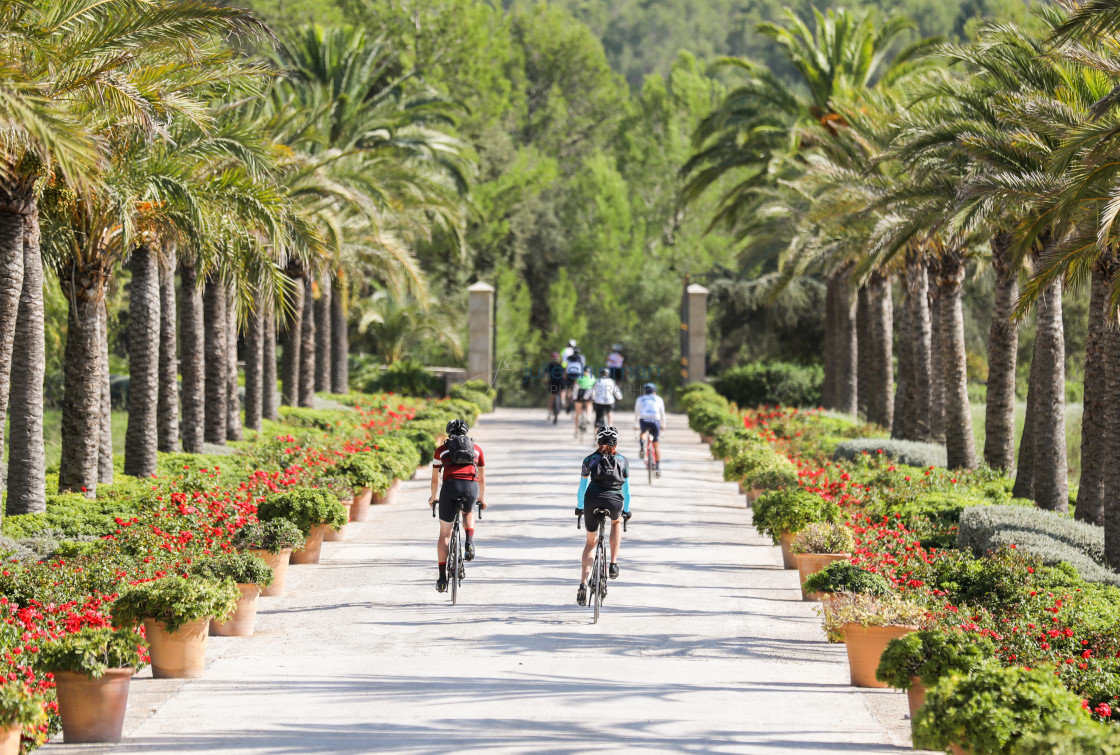 "Heading out for a Ride" stock image