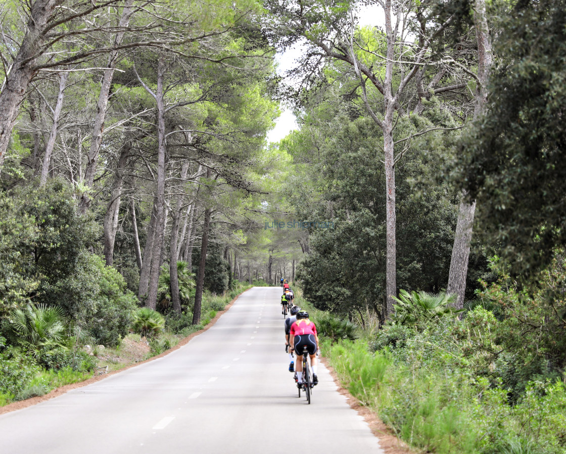 "Bike Tour in Mallorca" stock image