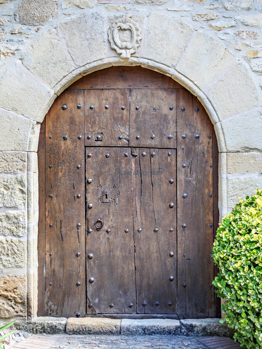 "Mexican Door" stock image