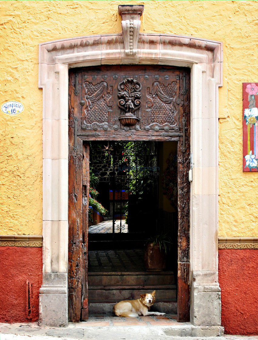 "Mexican Door" stock image