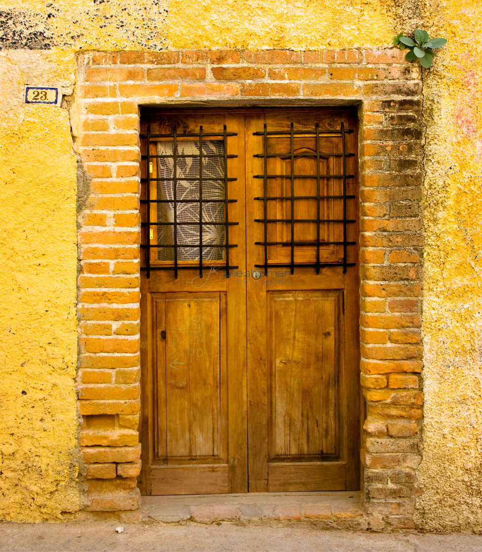 "Mexican Door" stock image