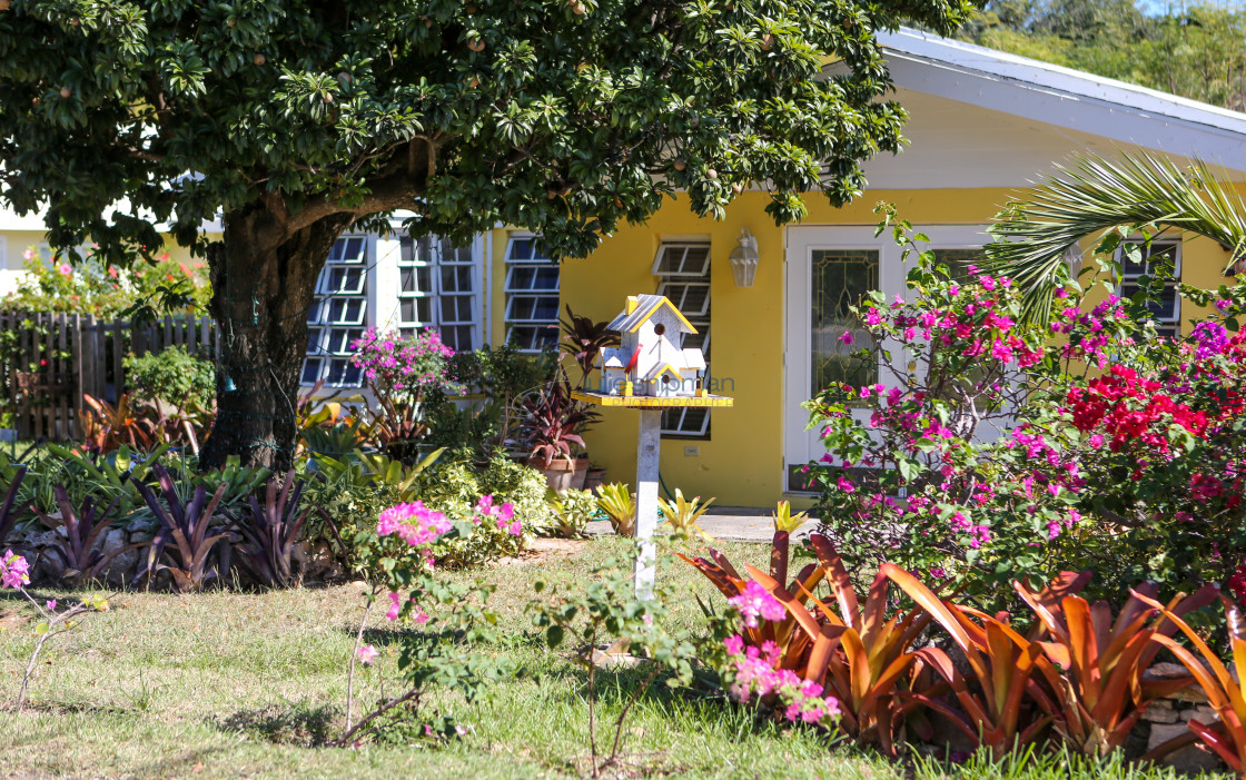 "Little Yellow House" stock image