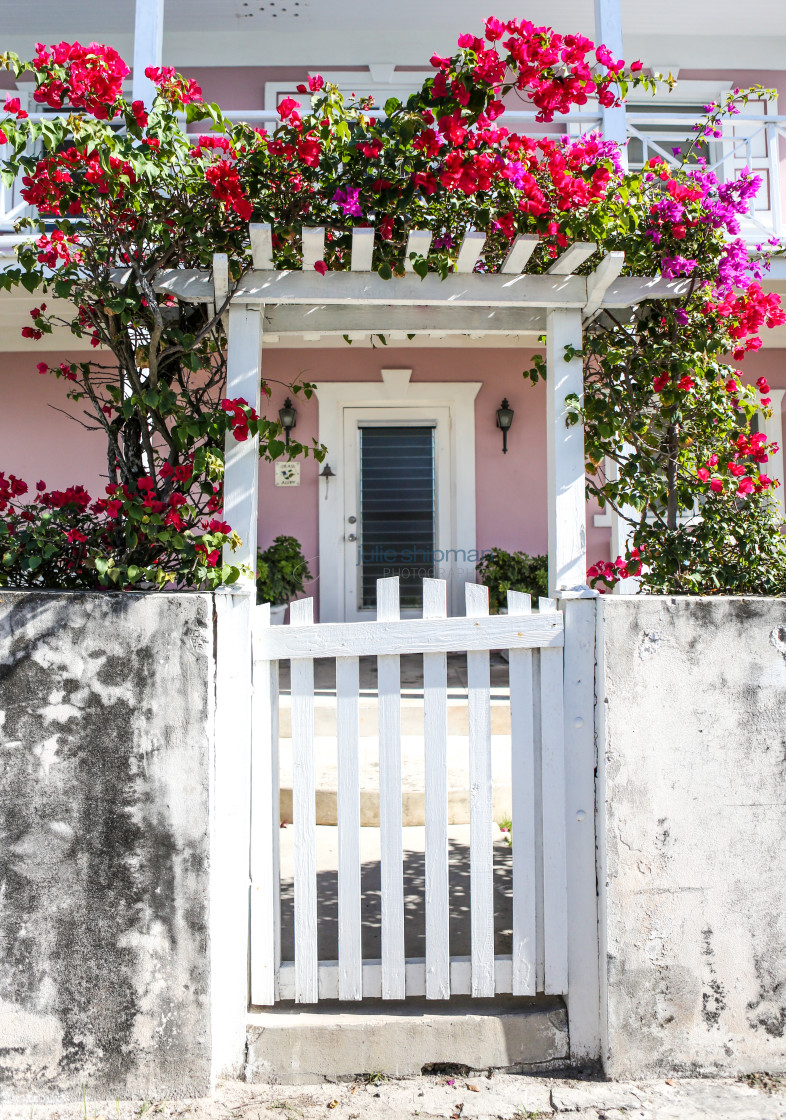 "Bougainvillea Doorway" stock image