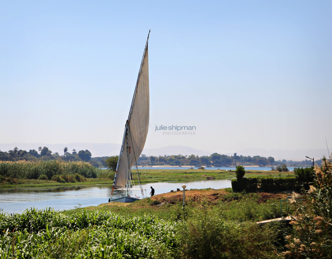 "Sailboat on the Nile" stock image