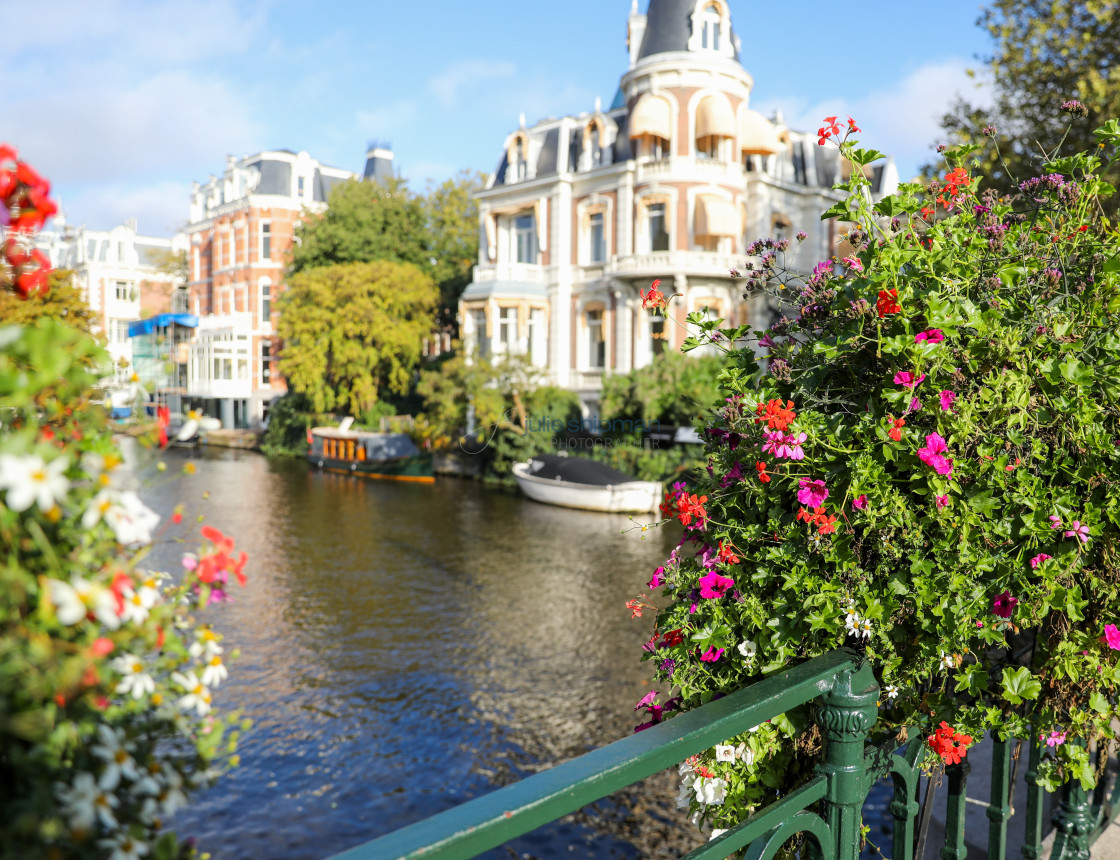 "Flowers over the Canal" stock image