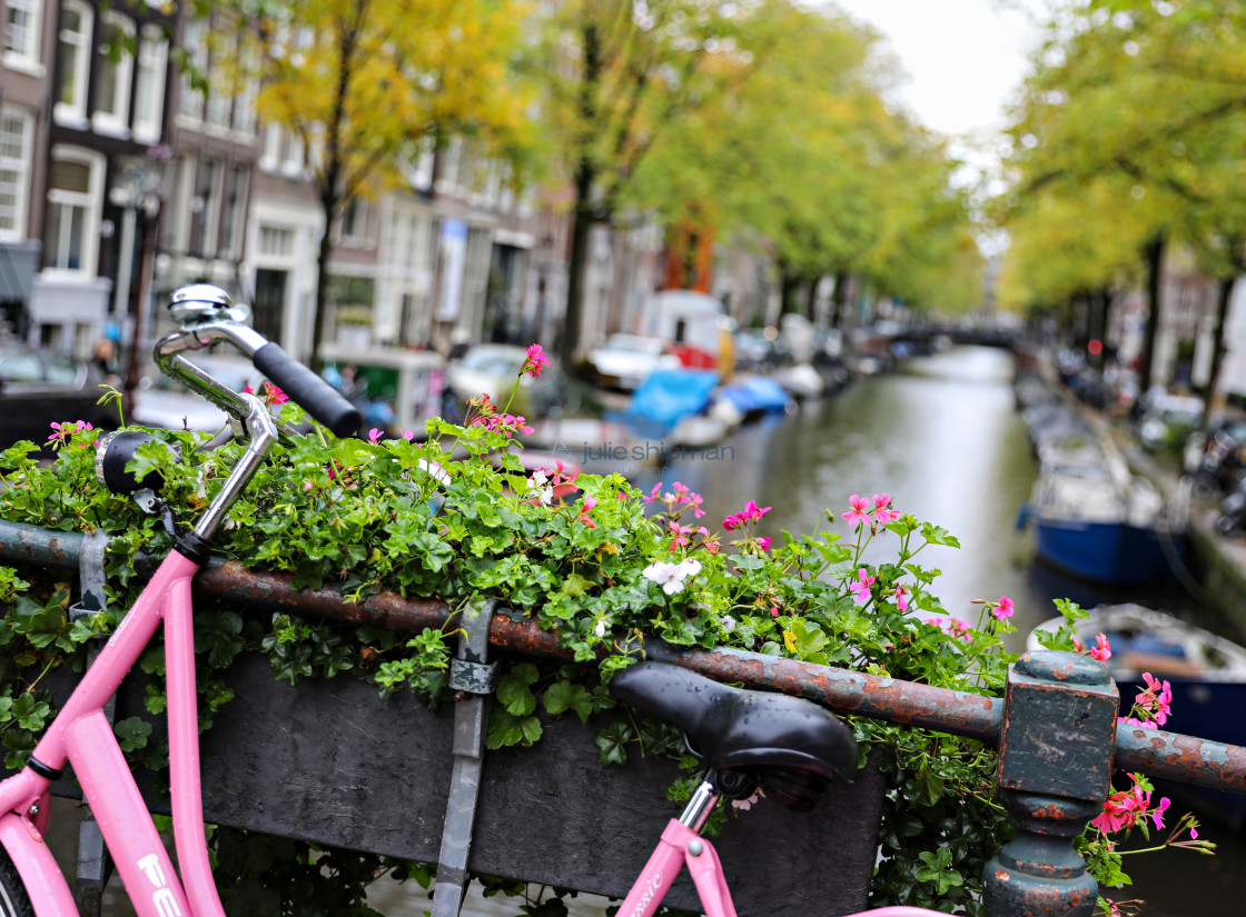 "Pink Bike" stock image