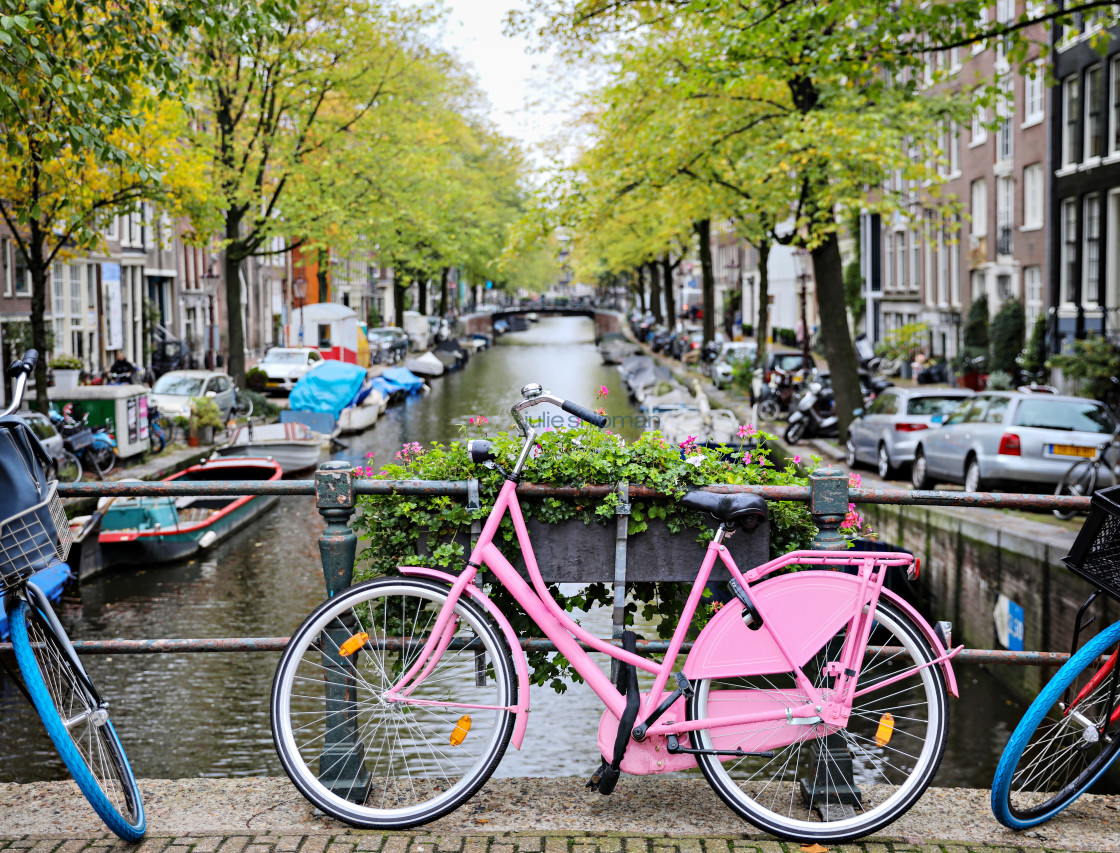 "Pink Bike on the Bridge" stock image