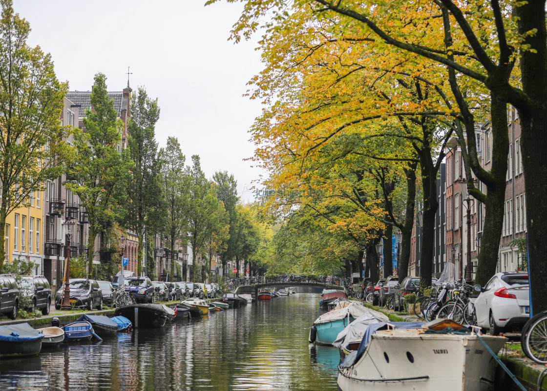 "Canal in Amsterdam" stock image