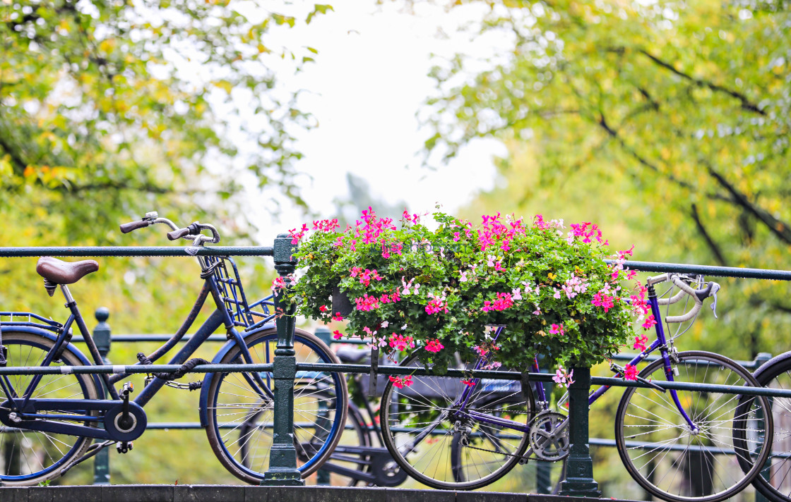 "Bikes and Flowers on a Bridge" stock image