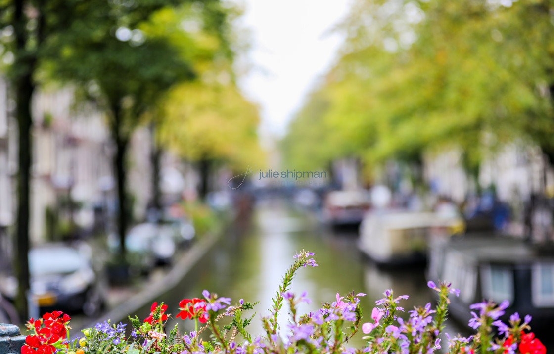 "Flowers on the Canal" stock image