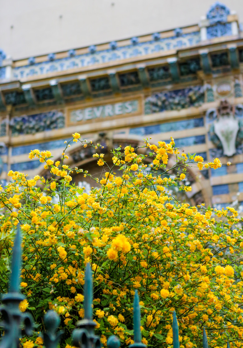 "Springtime in Paris" stock image