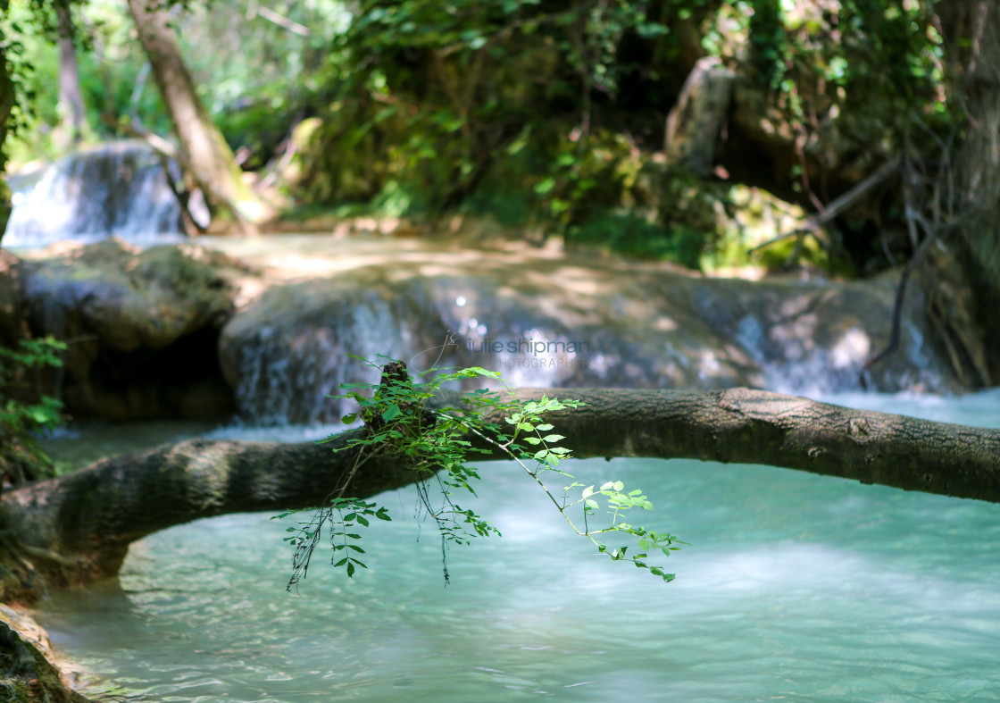 "Springs in Provence" stock image