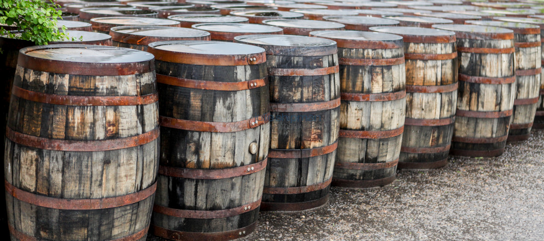 "Whiskey Barrels" stock image