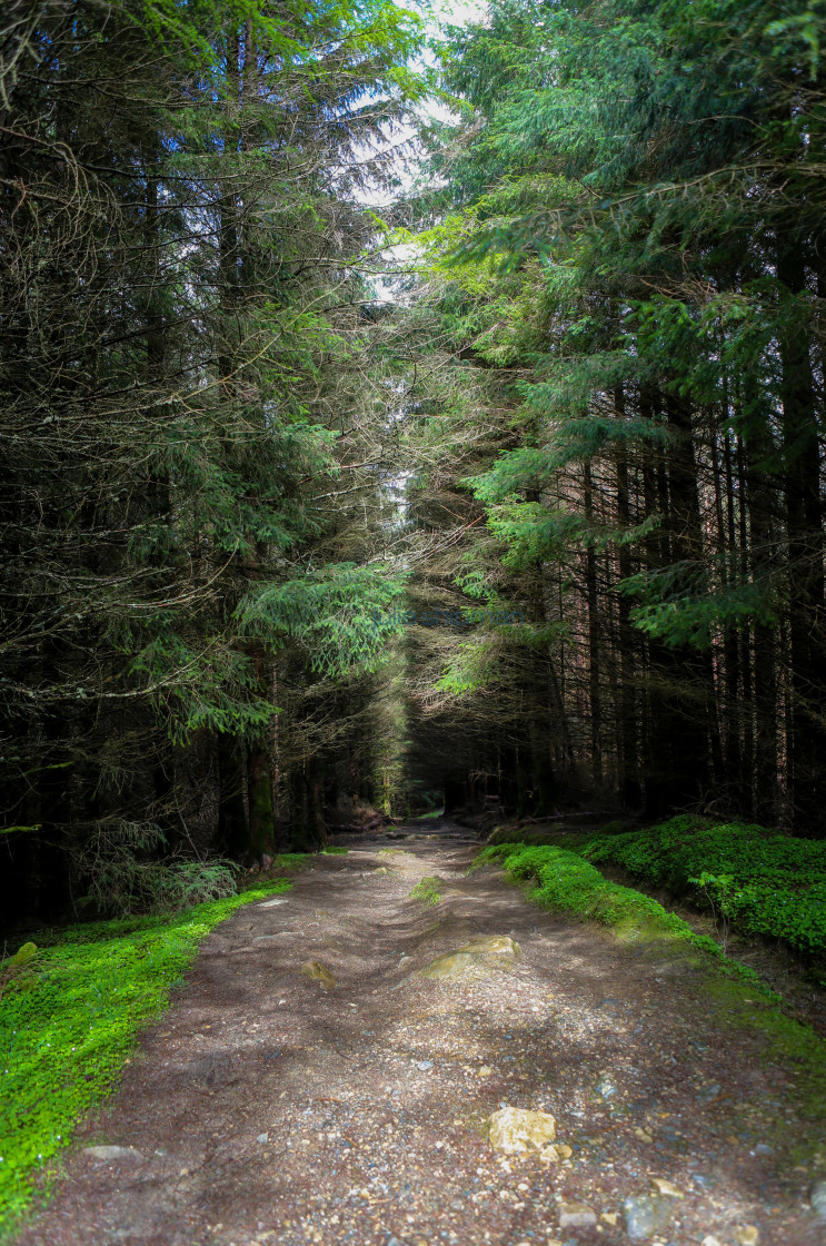 "Hiking the West Highland Way" stock image