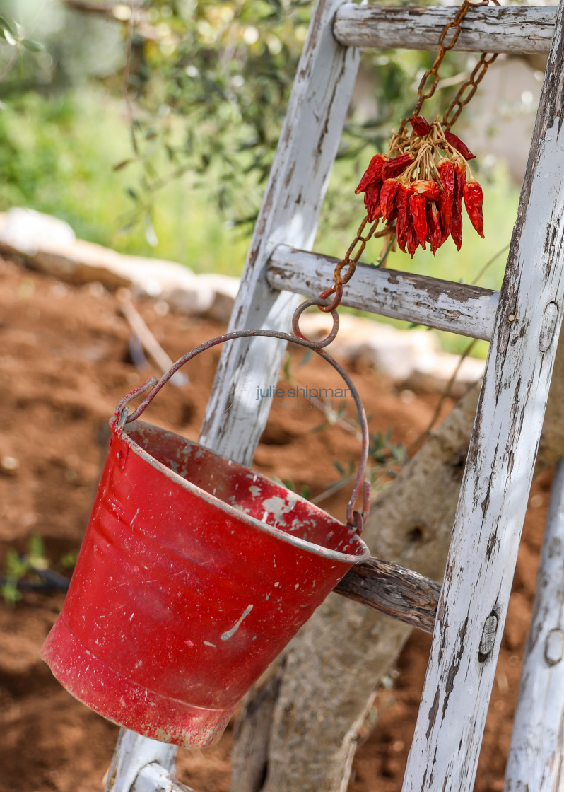 "Red Bucket; Red Peppers" stock image