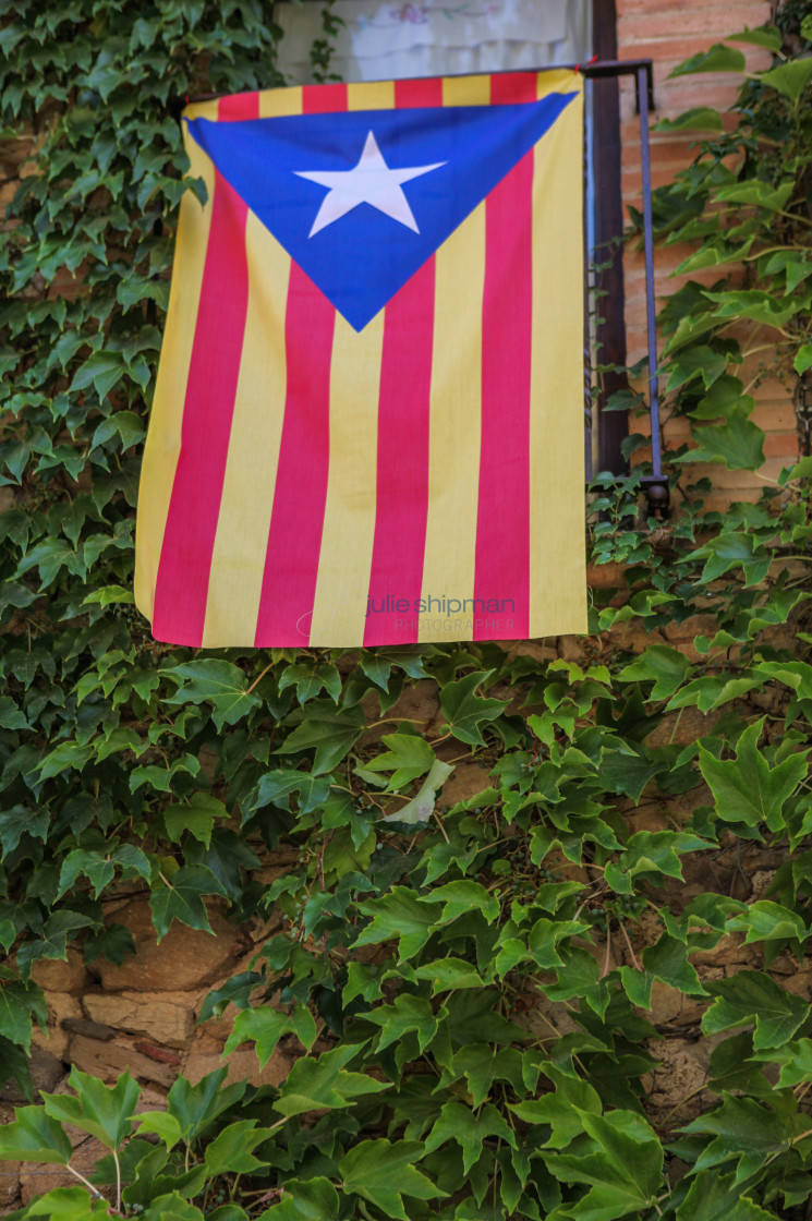 "Catalan Flag" stock image