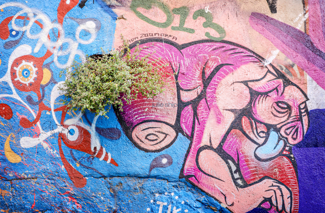 "Street Art in Valparaiso" stock image