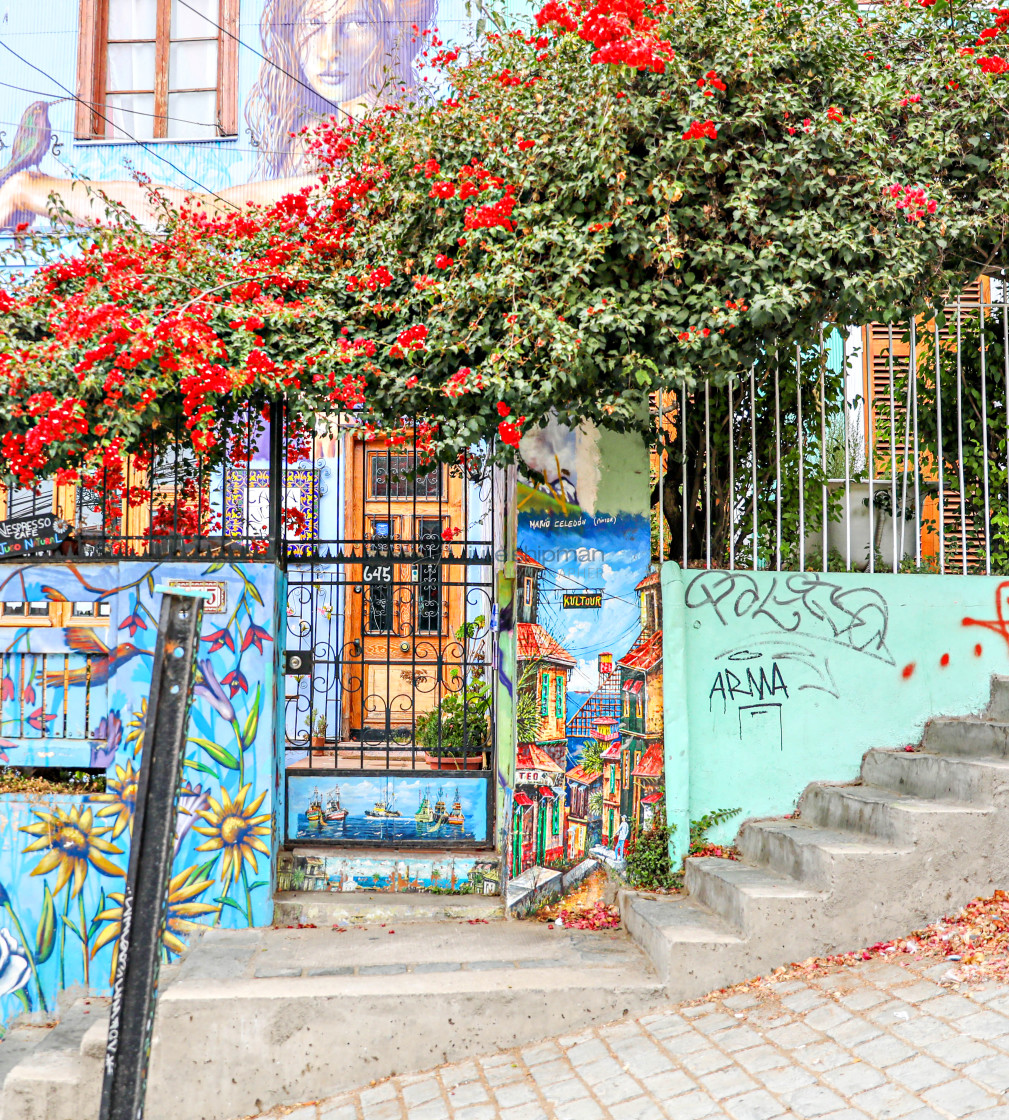 "Street Art in Valparaiso" stock image