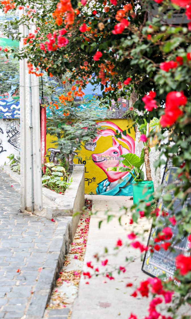 "Street Art in Valparaiso" stock image