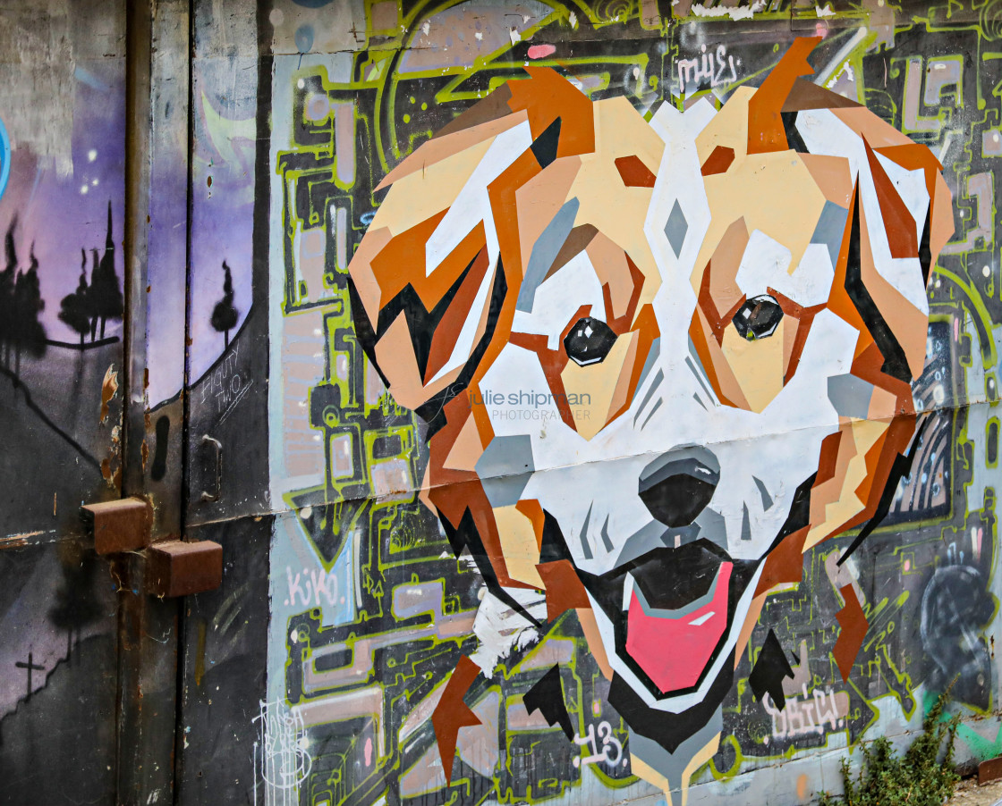 "Street Art in Valparaiso" stock image