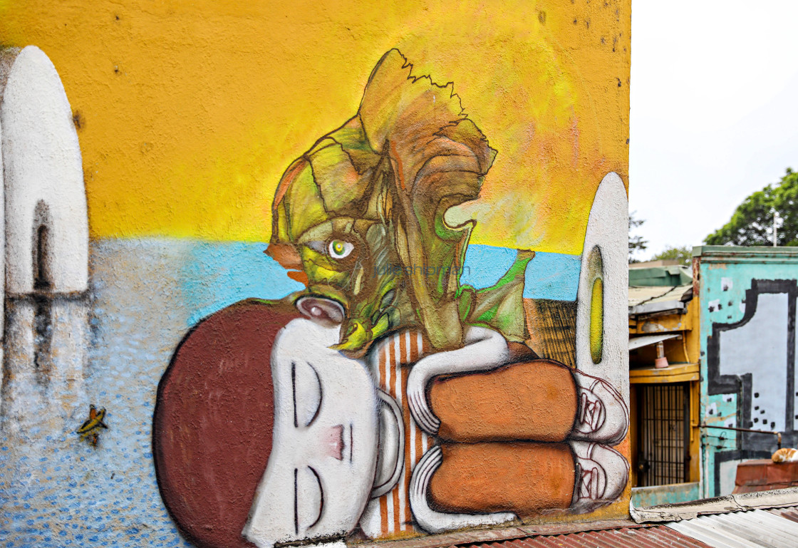 "Street Art in Valparaiso" stock image