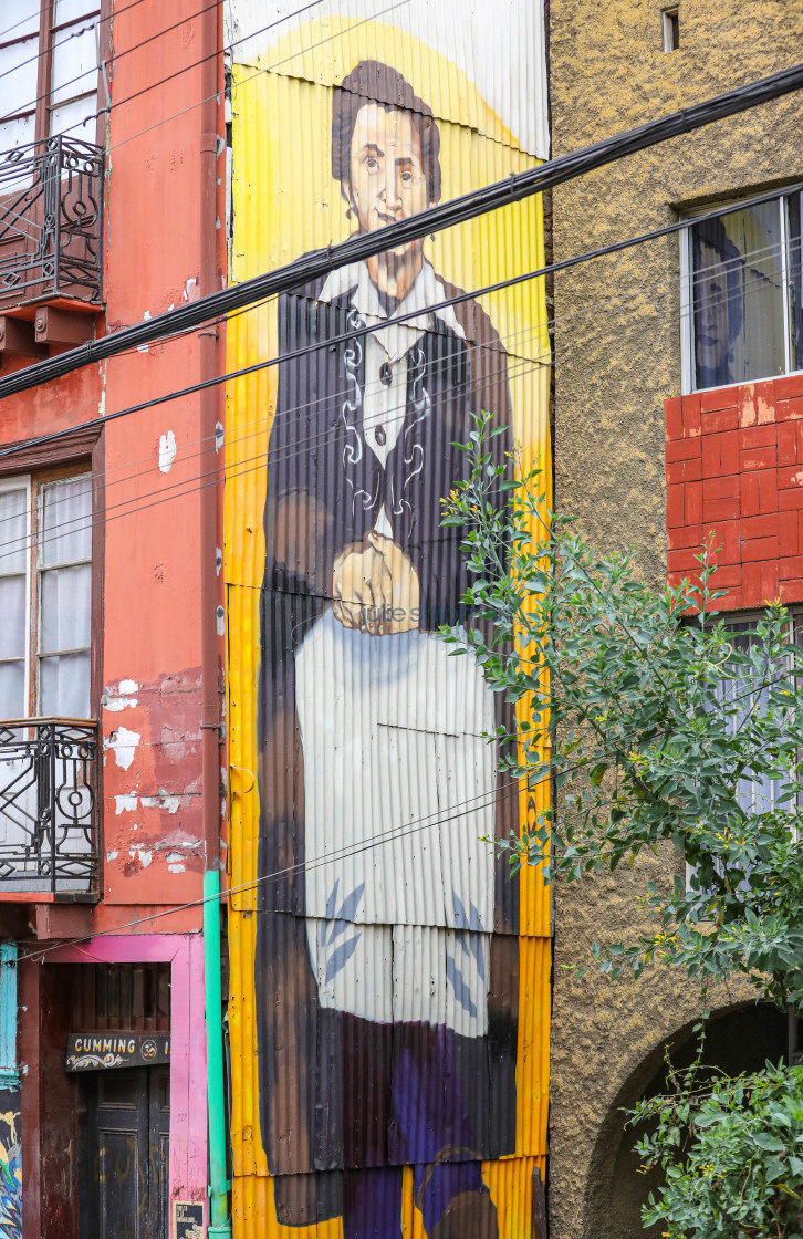 "Street Art in Valparaiso" stock image