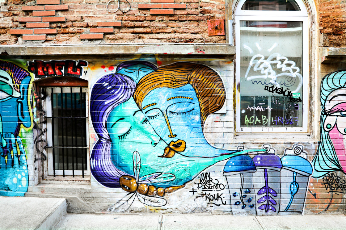 "Street Art in Valparaiso" stock image