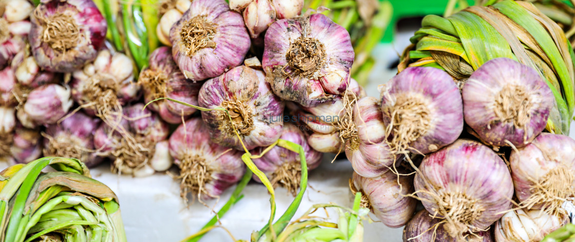 "Garlic" stock image