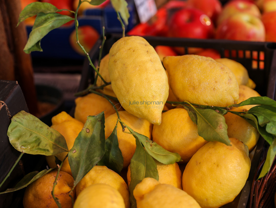 "Citrus" stock image