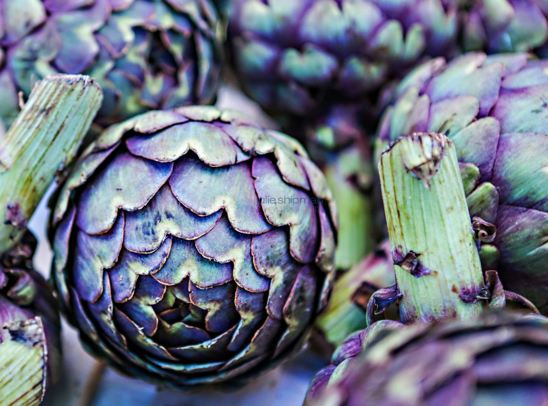 "Artichokes at Market" stock image