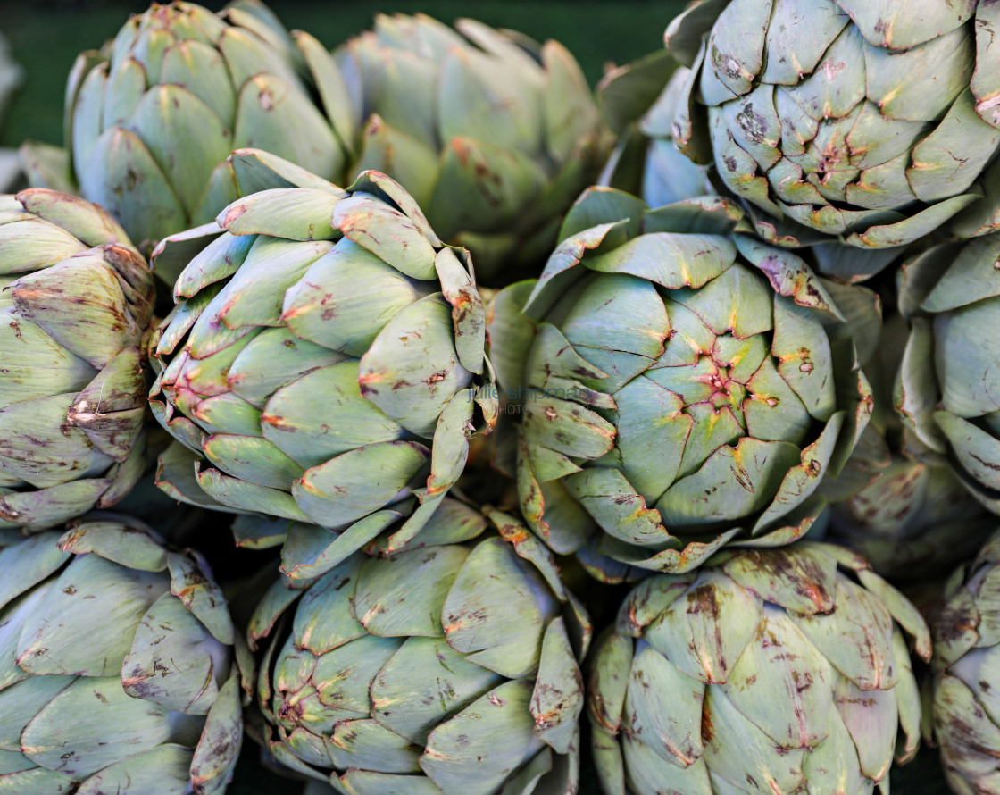 "Artichokes at Market" stock image