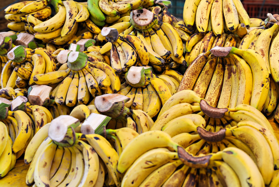 "Bananas" stock image