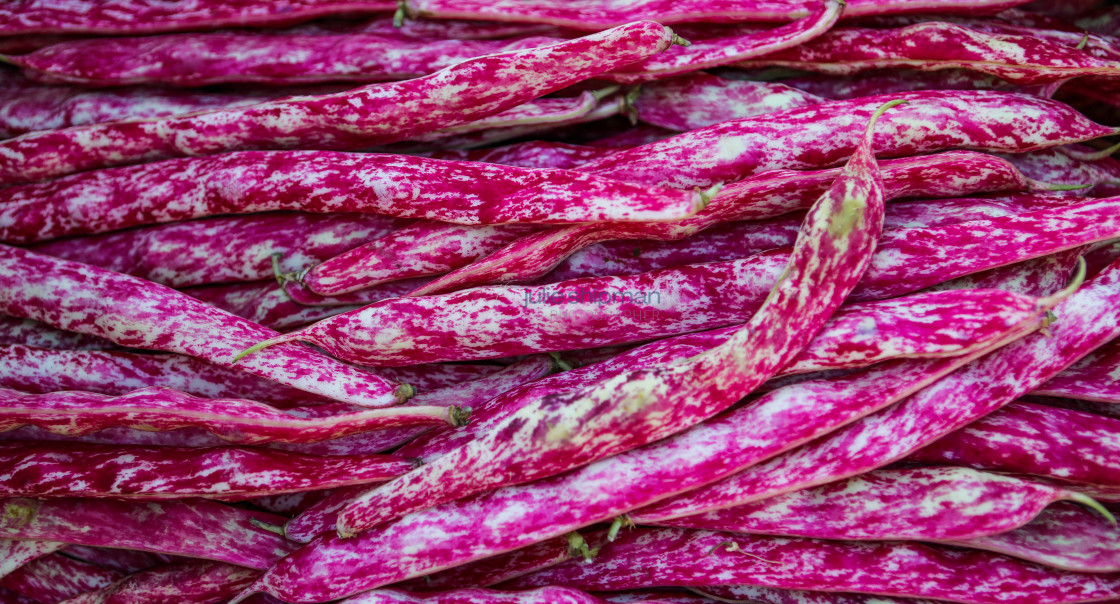 "Beans" stock image