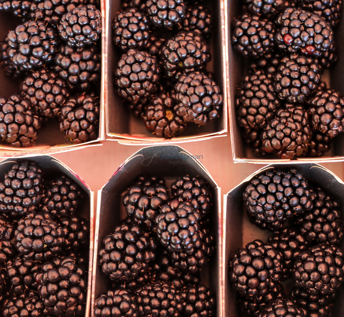 "Blackberries in Boxes" stock image