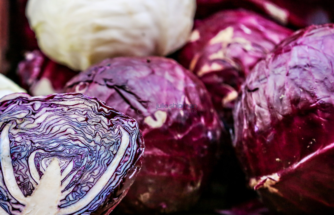 "Cabbage" stock image