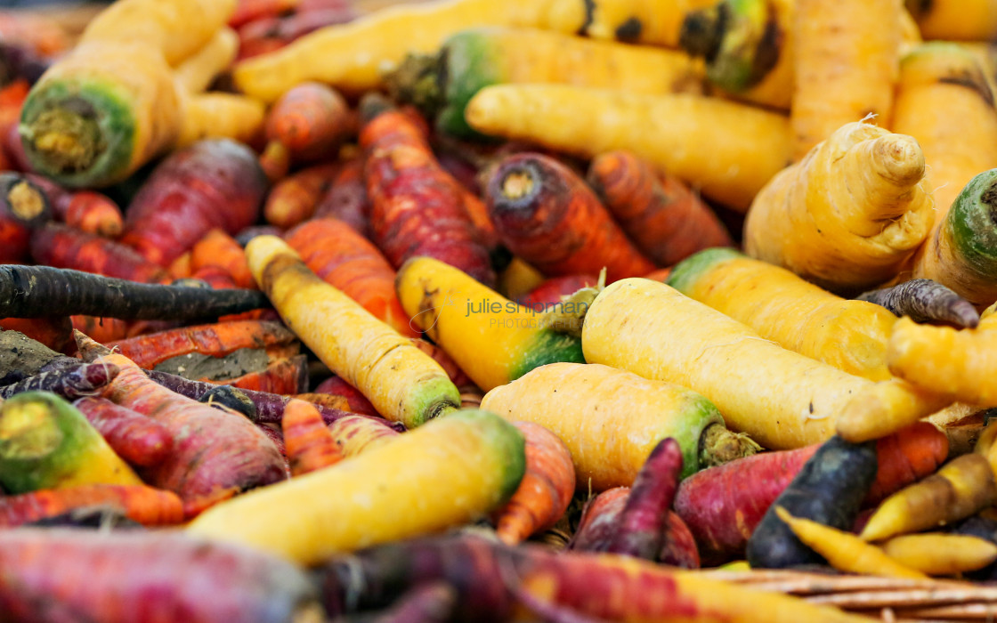 "Colorful Carrots" stock image