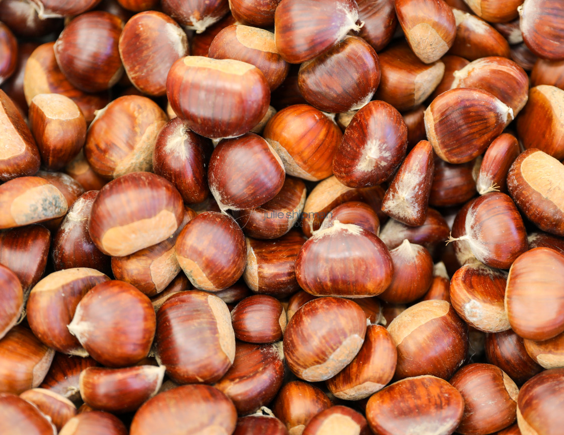 "Chestnuts in London" stock image