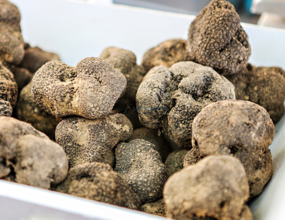 "Truffles" stock image