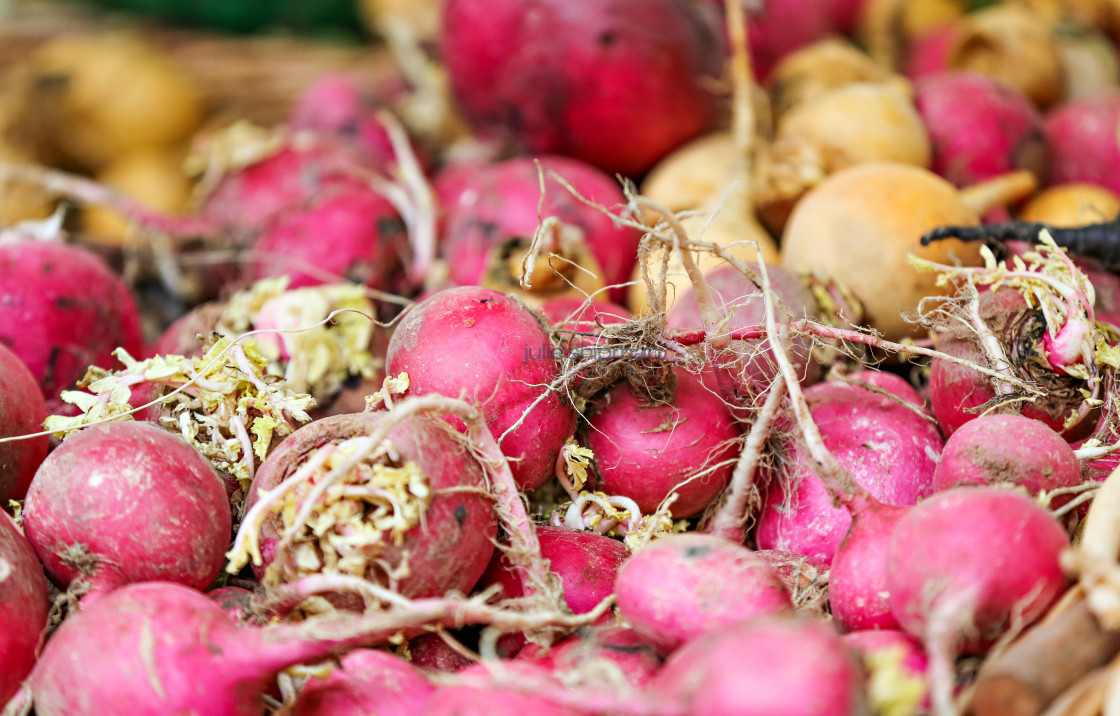 "Radish" stock image