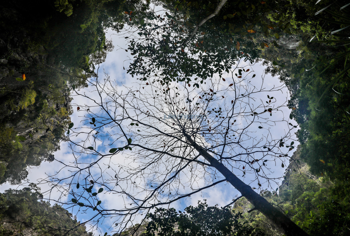 "Looking up from a Koh Cave." stock image