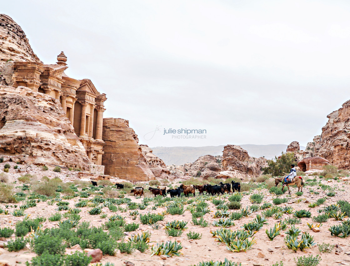 "A boy on a donkey moving his goats in front of the Monastery in Petra." by Julie Shipman - $18.66 "A boy on a donkey moving his goats in front of the Monastery in Petra." stock image