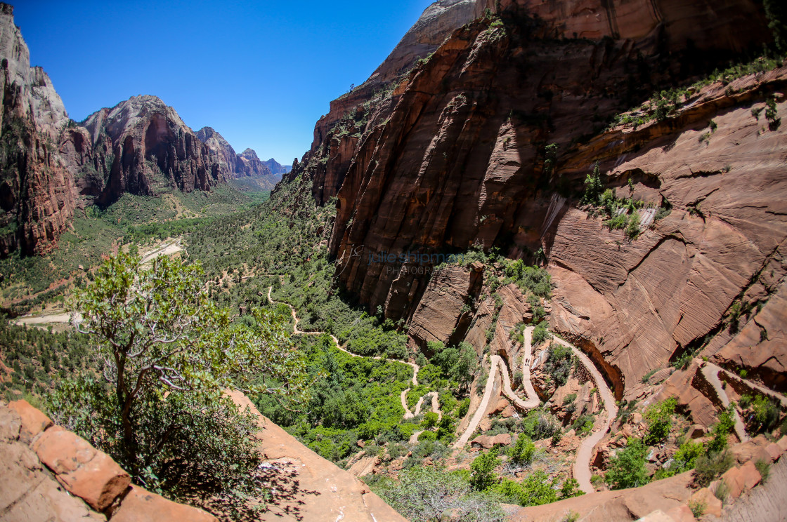 "View from the top of Angels Landing and the trail below during adventures in Zion National Park, Utah, USA." stock image