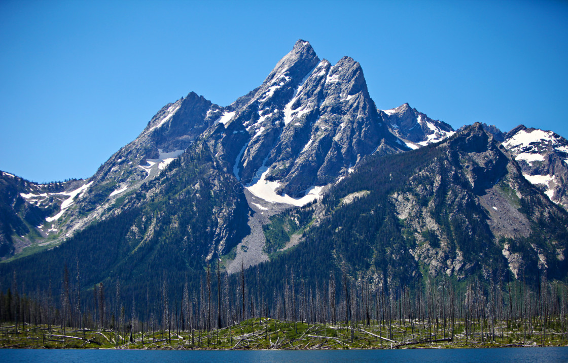 "The sharp mountain peak of the Tetons just ourside of Jackson Hole, a year after forest fire ravaged the forest." stock image