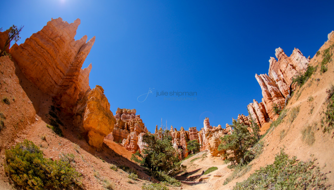 "Images of the incredible red rock formations in Bryce Canyon National Park, Utah." stock image