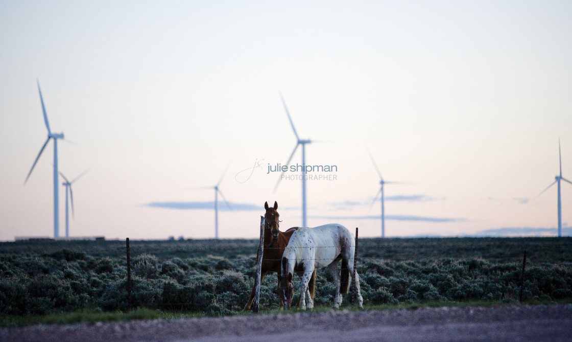 "Wind turbines with horses in The West in Robertson, Wyoming and the ranches in the Bridger Valley." stock image