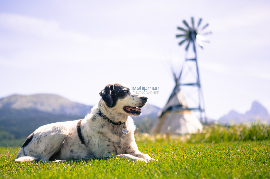 "adventures on a ranch in Alta, Wyoming, on the west side of the Teton Mountains." stock image