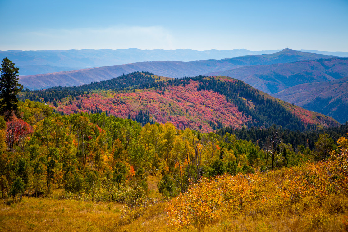 "Stunning images from the Scenic Highway Alpine Loop and the western Rocky Mountains in the autumn in central northern Utah." stock image