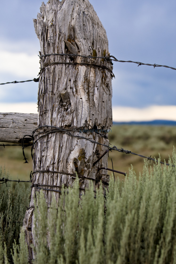 "Old post wrapped with barbed wire in The West in Robertson, Wyoming and the ranches in the Bridger Valley." stock image