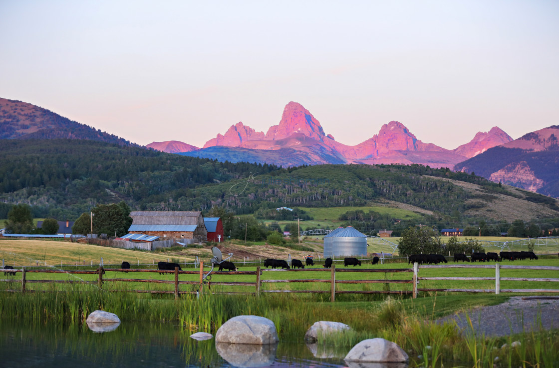 "Purple mountains Majesty; the Teton Mountains." stock image